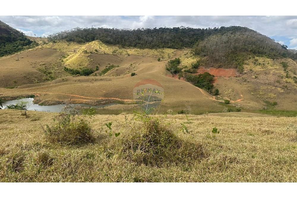 Chácara / Sítio / Fazenda - Venda - Leopoldina , Minas Gerais - WhatsApp Image 2025-09-22 at 10.32.38.jpeg - 860291033-118