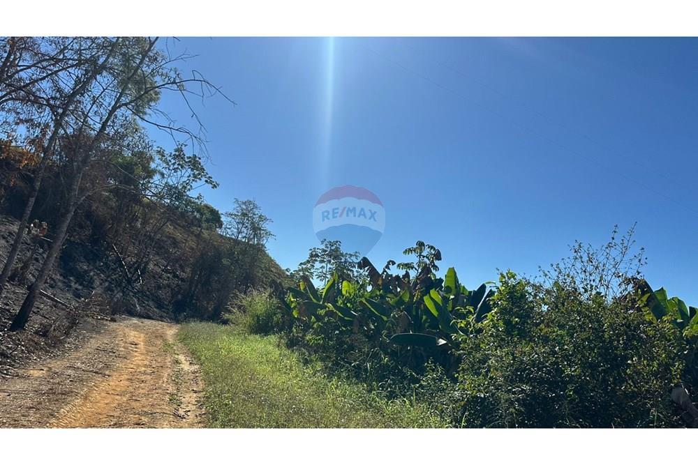 Terreno - Venda - Piau , Minas Gerais - 9638df38-4758-4596-9ca3-21fed2f88f4d.jpg - 860211053-60