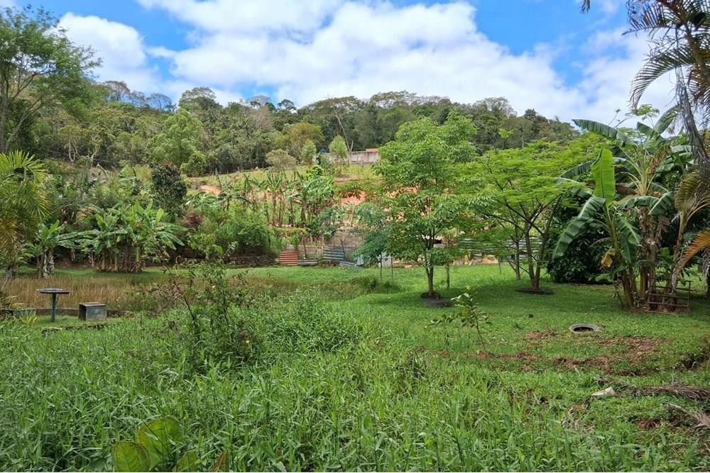 Chácara / Sítio / Fazenda - Venda - Juiz de Fora , Minas Gerais - WhatsApp Image 2025-11-18 at 21.05.16.jpeg - 860281098-63