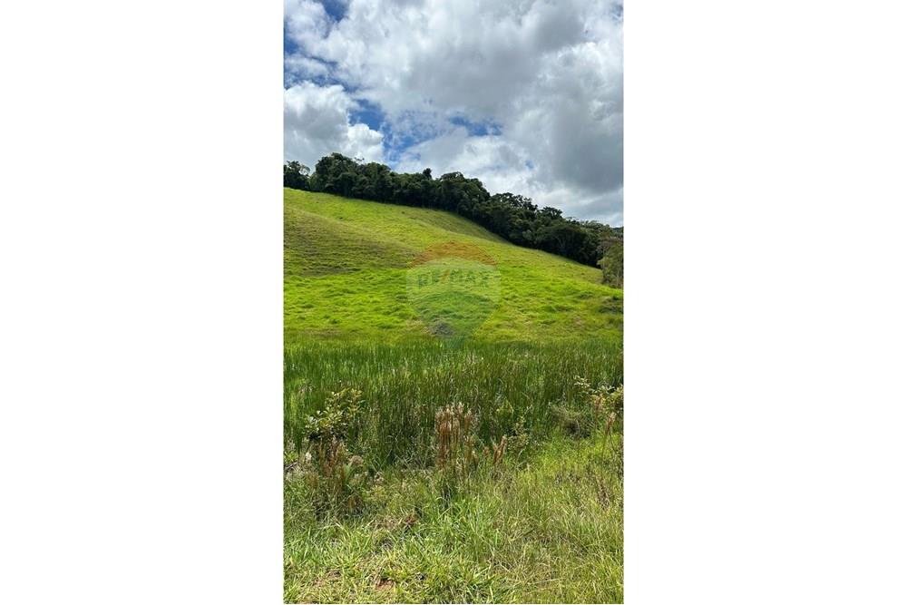 Chácara / Sítio / Fazenda - Venda - Lima Duarte , Minas Gerais - WhatsApp Image 2025-03-31 at 08.26.01.jpeg - 860291033-87