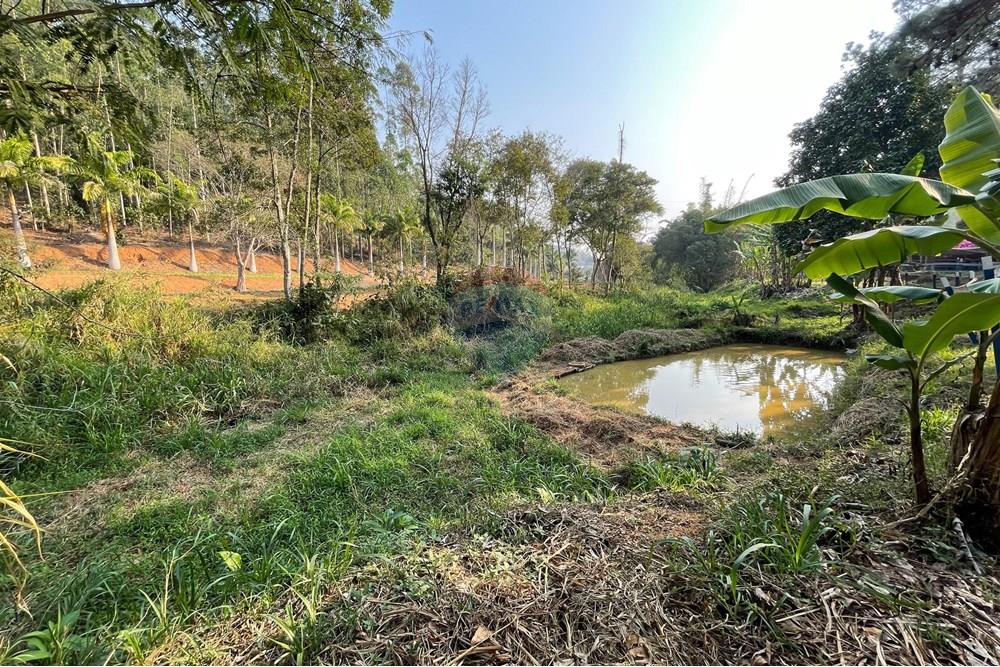 Chácara / Sítio / Fazenda - Venda - Juiz de Fora , Minas Gerais - WhatsApp Image 2024-09-05 at 10.07.02 (1).jpeg - 860281091-75