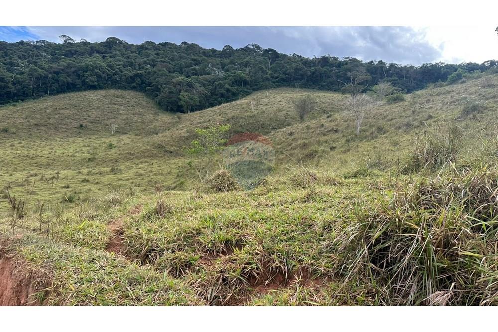 Chácara / Sítio / Fazenda - Venda - Lamim , Minas Gerais - WhatsApp Image 2025-09-05 at 10.36.58 (5).jpeg - 860291033-115