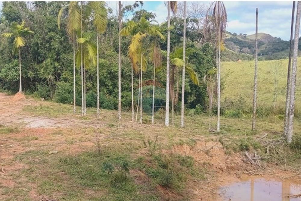 Chácara / Sítio / Fazenda - Venda - Piau , Minas Gerais - WhatsApp Image 2025-06-27 at 19.34.32 (2).jpeg - 860281098-54