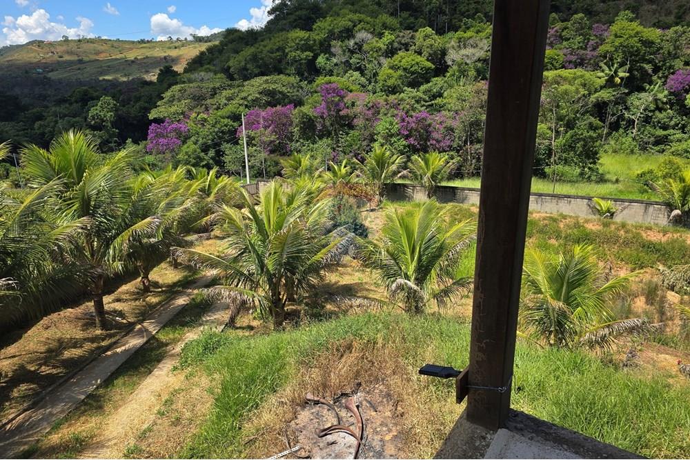 Chácara / Sítio / Fazenda - Venda - Ewbank da Câmara , Minas Gerais - 50.jpg - 860381070-34