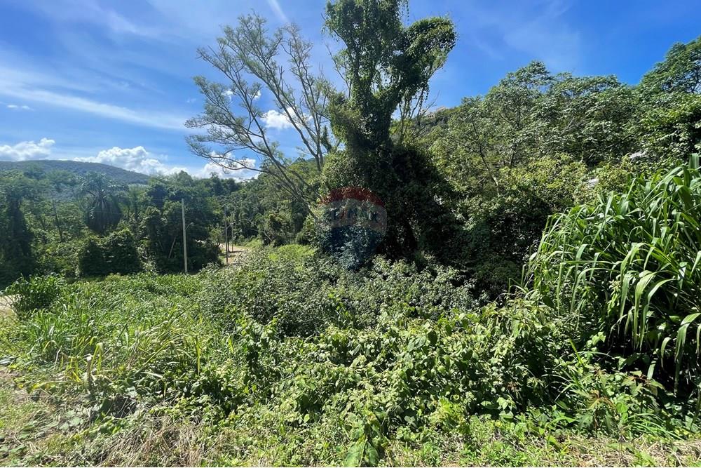 Terreno - Venda - Juiz de Fora , Minas Gerais - 20250204_171345300_iOS.jpg - 860281090-62