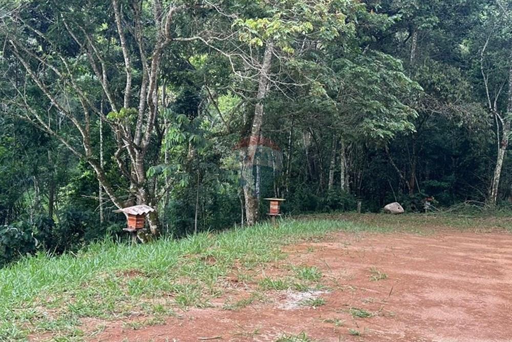 Chácara / Sítio / Fazenda - Venda - Juiz de Fora , Minas Gerais - Sítio (8).jpeg - 860291033-137