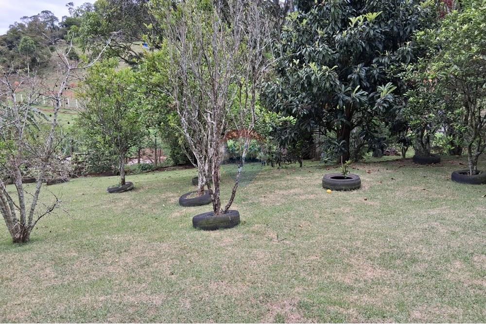 Chácara / Sítio / Fazenda - Venda - Juiz de Fora , Minas Gerais - WhatsApp Image 2025-11-18 at 21.05.44.jpeg - 860281098-63