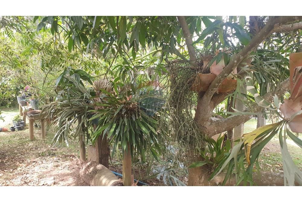 Chácara / Sítio / Fazenda - Venda - Barbacena , Minas Gerais - WhatsApp Image 2025-11-17 at 14.43.28 (17).jpeg - 860391028-24