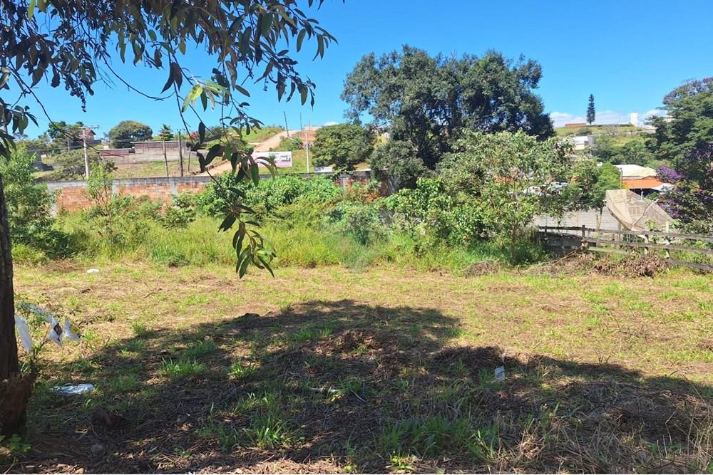 Terreno - Venda - Barbacena , Minas Gerais - WhatsApp Image 2025-04-09 at 11.12.09 (3).jpeg - 860391020-59