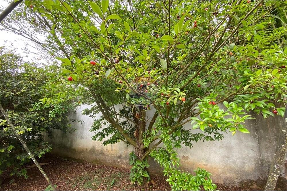 Casa - Venda - Juiz de Fora , Minas Gerais - IMG_4133.jpeg - 860321048-19