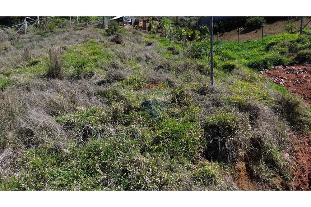 Terreno - Venda - Juiz de Fora , Minas Gerais - 25bf61f0-71c2-459c-88fa-090c20243f77.JPG - 860291041-14