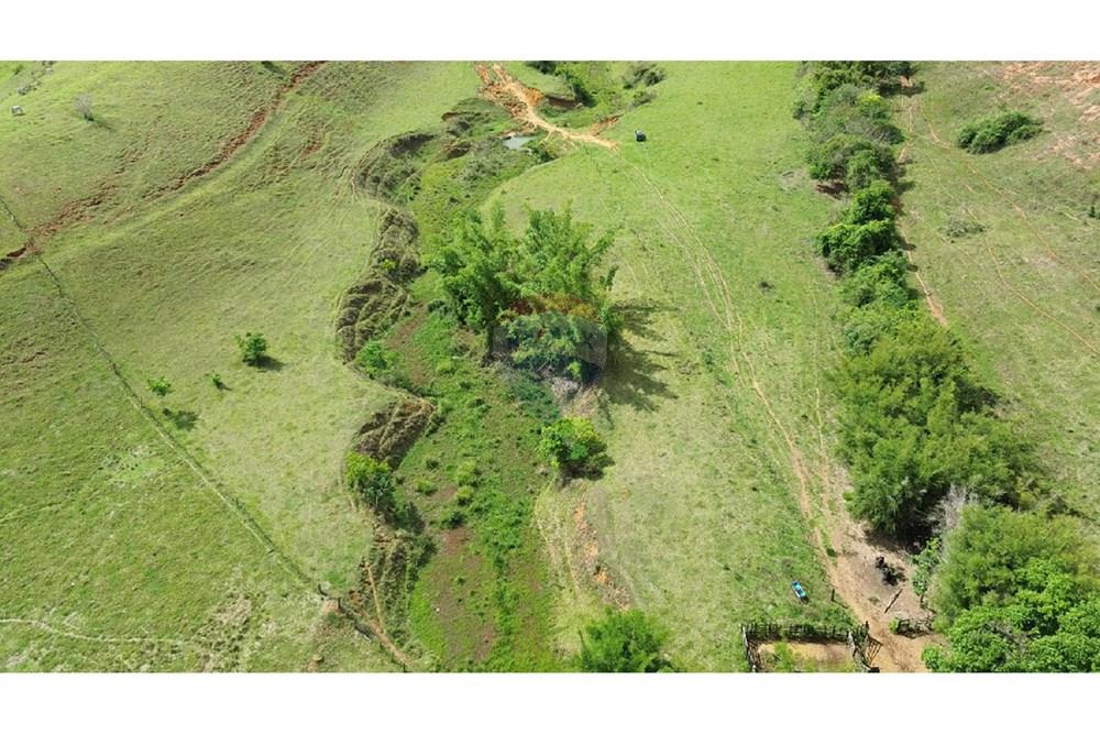 Chácara / Sítio / Fazenda - Venda - Rochedo de Minas , Minas Gerais - WhatsApp Image 2026-01-14 at 09.00.58 (3).jpeg - 860291041-35