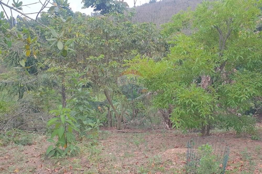 Chácara / Sítio / Fazenda - Venda - Barbacena , Minas Gerais - WhatsApp Image 2025-11-17 at 14.43.29 (4).jpeg - 860391028-24