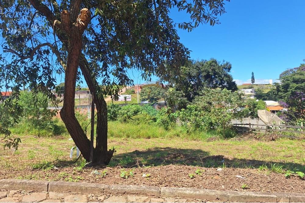 Terreno - Venda - Barbacena , Minas Gerais - WhatsApp Image 2025-04-09 at 11.12.12.jpeg - 860391020-59