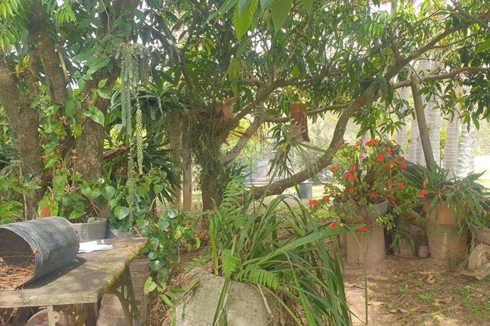 Chácara / Sítio / Fazenda - Venda - Barbacena , Minas Gerais - WhatsApp Image 2025-11-17 at 14.43.28 (19).jpeg - 860391028-24