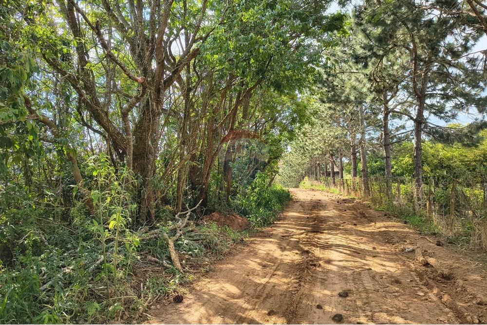 Terreno - Venda - Barbacena , Minas Gerais - IMG_20251029_145500071_HDR.jpg - 860391007-46