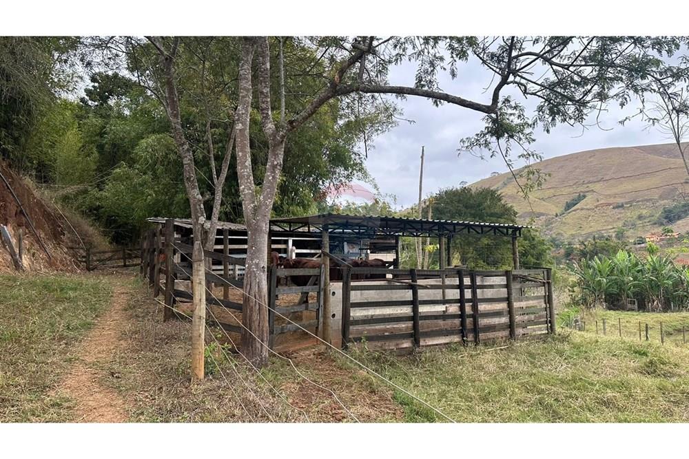 Chácara / Sítio / Fazenda - Venda - Juiz de Fora , Minas Gerais - WhatsApp Image 2025-02-12 at 18.15.00 (2).jpeg - 860291033-75