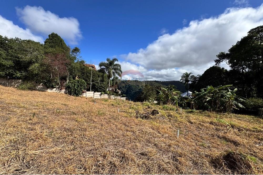 Terreno - Venda - Juiz de Fora , Minas Gerais - IMG_0684.JPEG - 860301001-592
