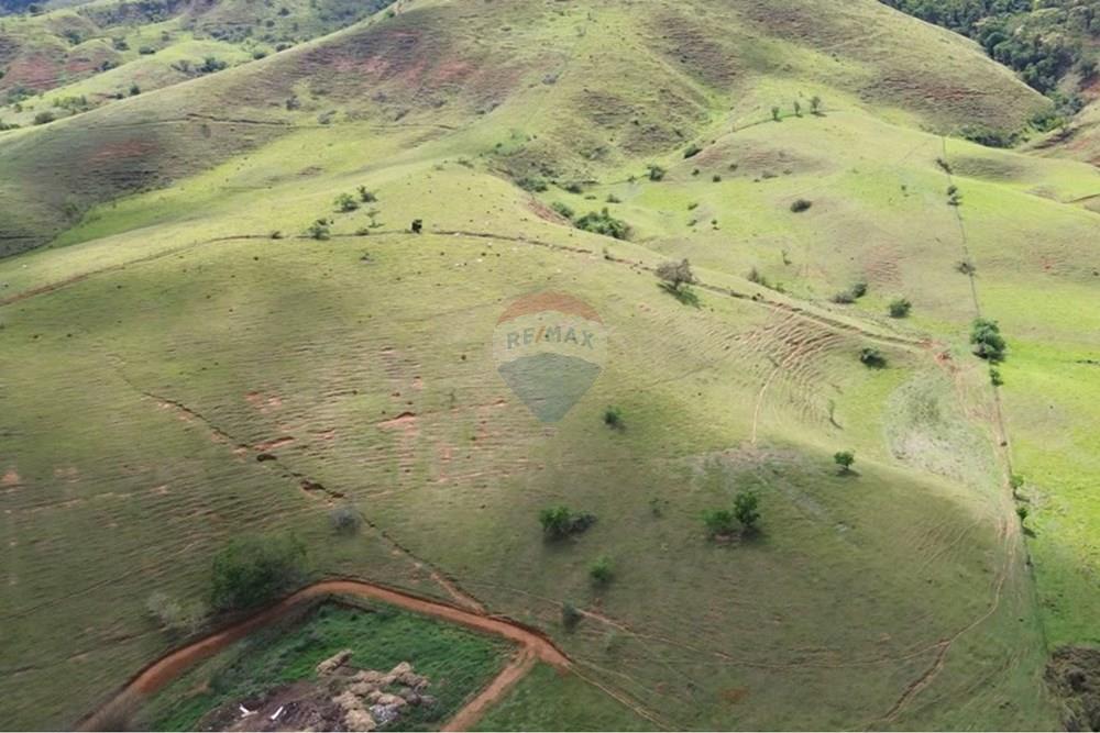 Agro - Venda - Rochedo de Minas , Minas Gerais - c9dbe2cb-ee21-441f-b03a-d63a1d45f670.JPG - 860291041-34