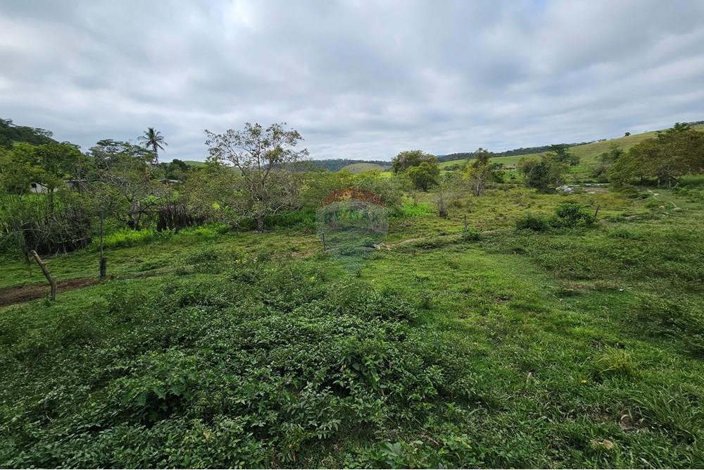 Terreno - Venda - Barão de Monte Alto , Minas Gerais - 20251207_080915.jpg - 860371002-205