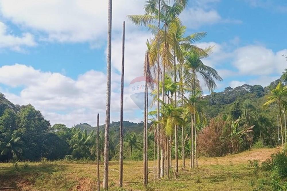 Chácara / Sítio / Fazenda - Venda - Piau , Minas Gerais - WhatsApp Image 2025-06-27 at 19.34.23 (1).jpeg - 860281098-54