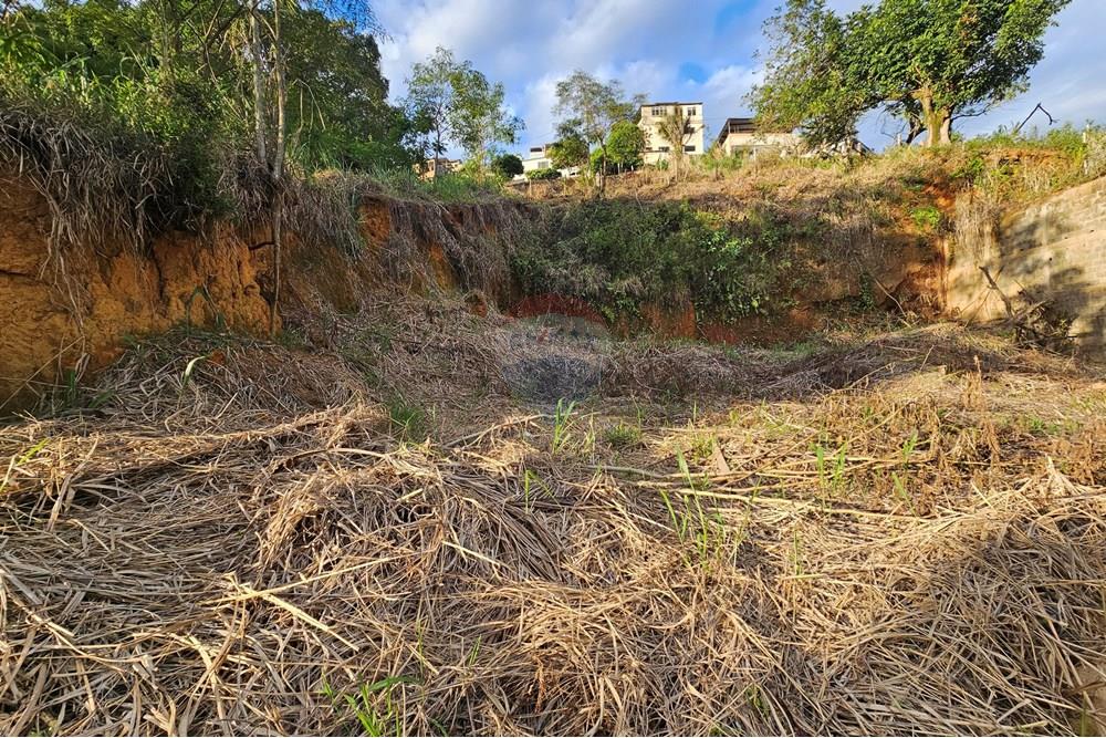 Terreno - Venda - Muriaé , Minas Gerais - 20251110_171654.jpg - 860371002-203