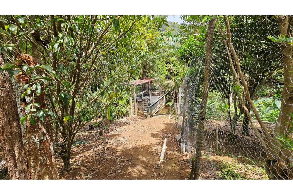 Casa - Venda - Juiz de Fora , Minas Gerais - 20251105_102525.jpg - 860301016-249