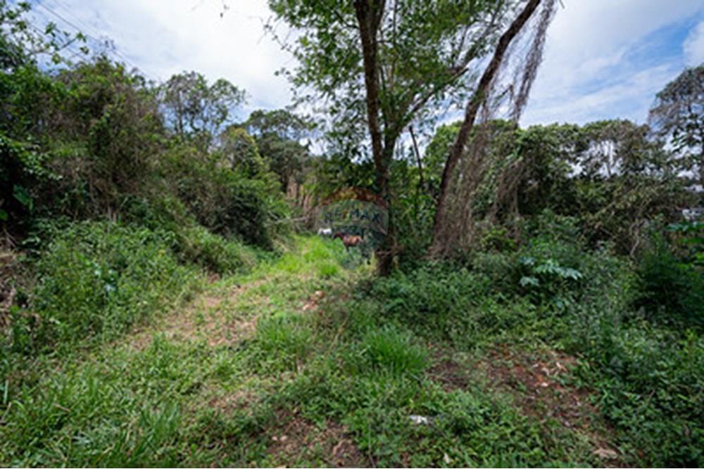 Terreno - Venda - Juiz de Fora , Minas Gerais - saogeraldo15.jpg - 860271016-9