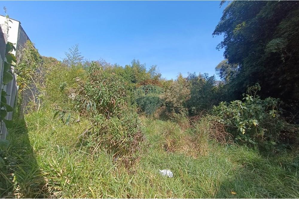 Terreno - Venda - Conselheiro Lafaiete , Minas Gerais - 4c94c808-40ca-40b5-8f83-e85cf3fcf417.jpeg - 860421022-139