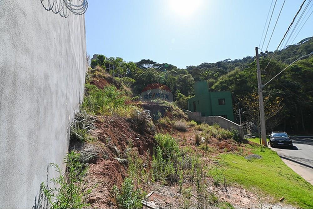 Terreno - Venda - Juiz de Fora , Minas Gerais - michaelseed.photo_09 10 11-43-M.jpg - 860211097-53