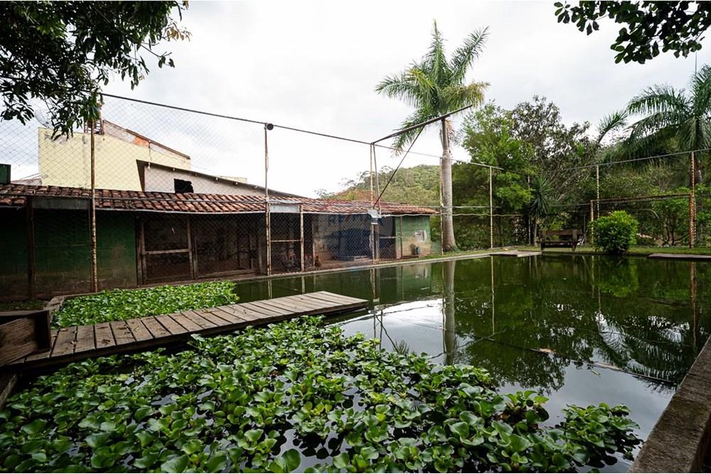 Chácara / Sítio / Fazenda - Venda - Juiz de Fora , Minas Gerais - WhatsApp Image 2025-11-11 at 17.42.18 (1).jpeg - 860281098-62