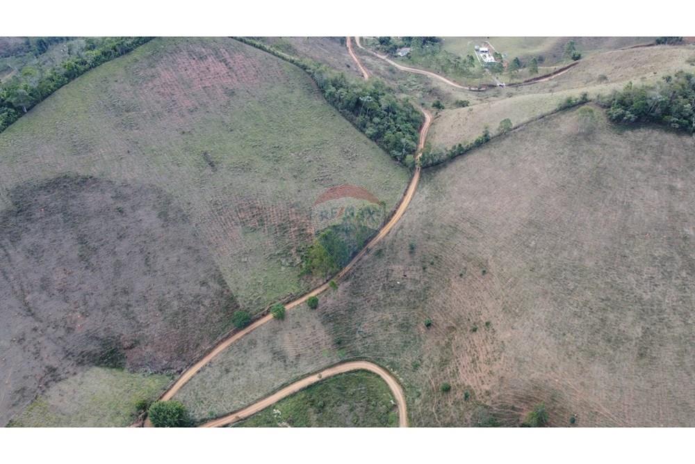 Chácara / Sítio / Fazenda - Venda - Ewbank da Câmara , Minas Gerais - WhatsApp Image 2025-02-19 at 16.44.54 (1).jpeg - 860301045-274