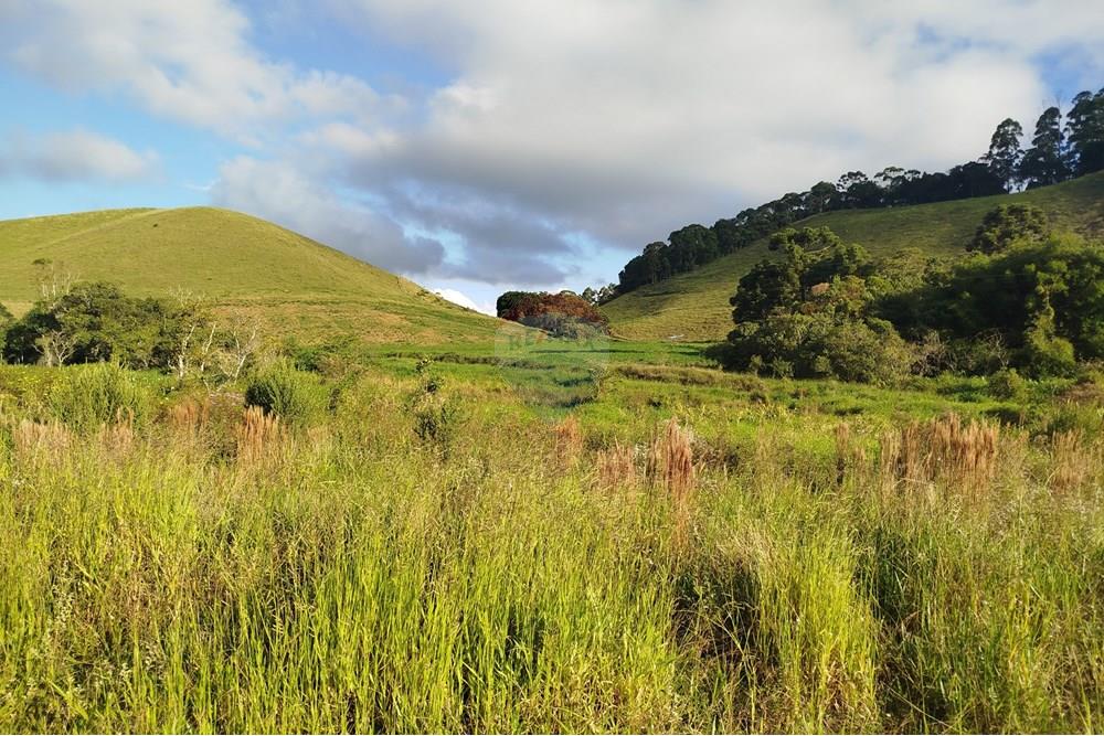 Fazenda - Venda - Barbacena , Minas Gerais - IMG_20250421_161309.jpg - 860391012-32