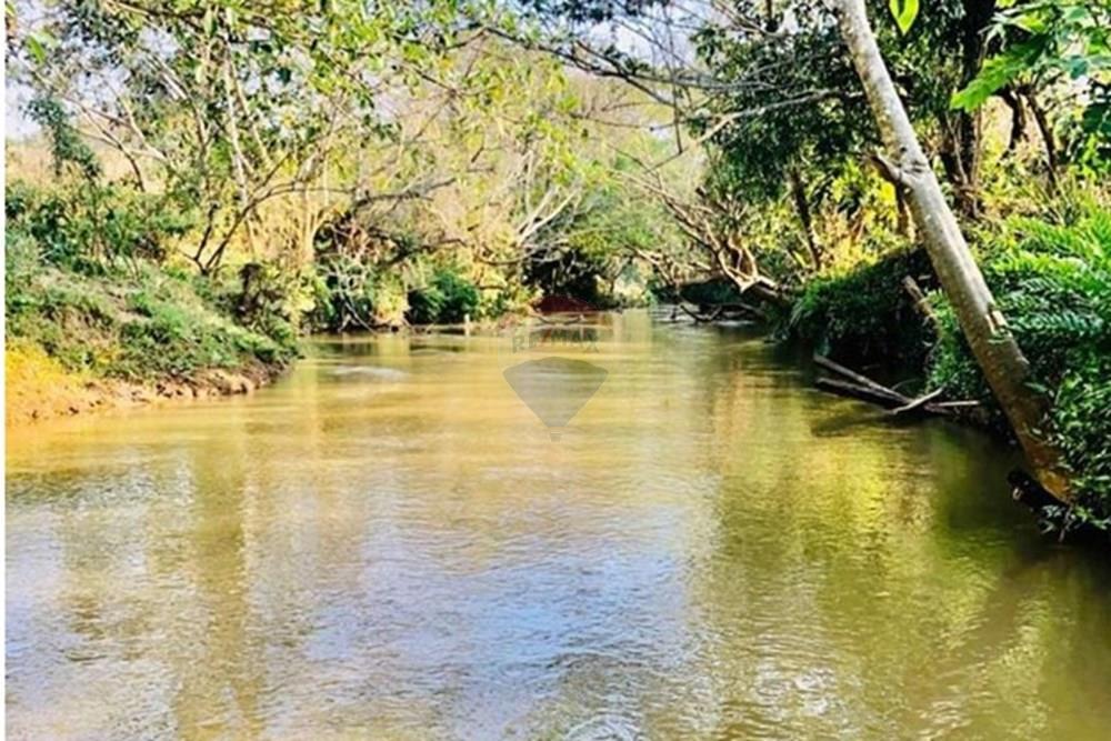 Terreno - Venda - Leopoldina , Minas Gerais - Imagem do WhatsApp de 2025-08-12 à(s) 19.00.03_d11d552f.jpg - 860381054-6