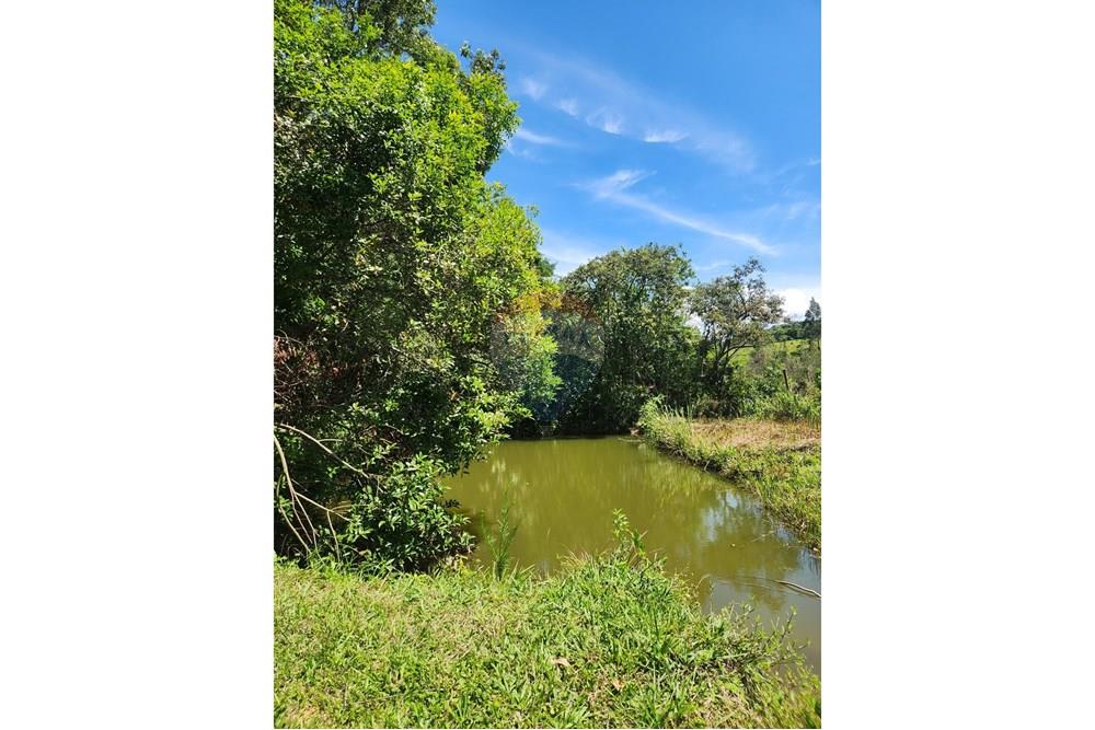 Chácara / Sítio / Fazenda - Venda - Conselheiro Lafaiete , Minas Gerais - WhatsApp Image 2025-03-12 at 08.23.59.jpeg - 860421029-129