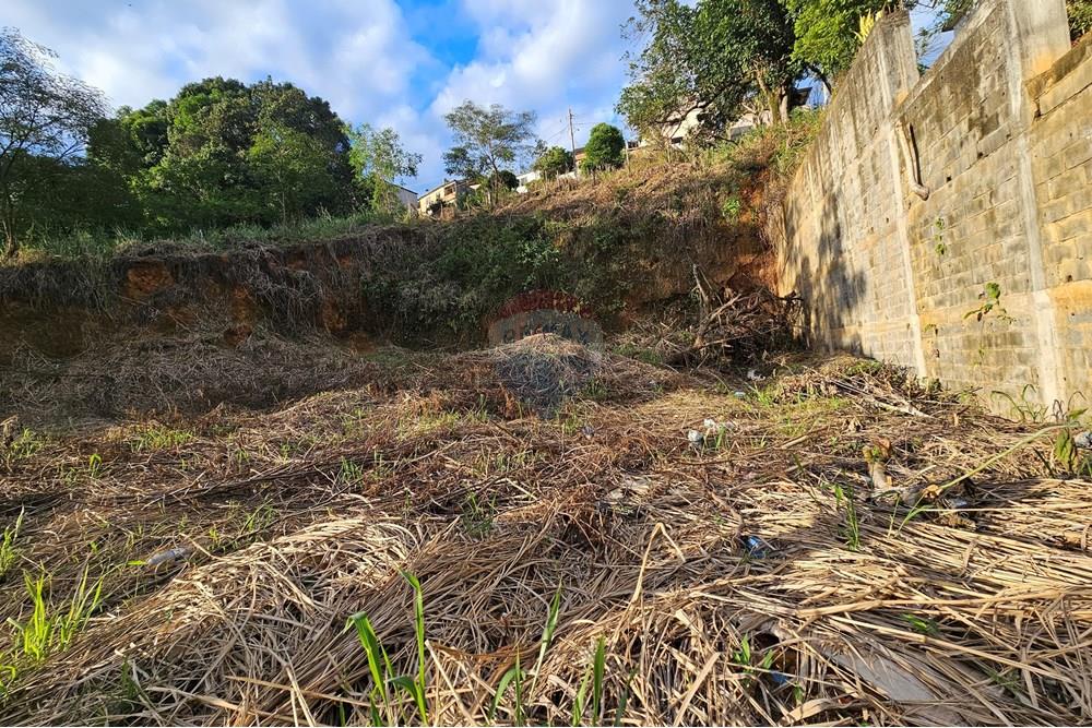 Terreno - Venda - Muriaé , Minas Gerais - 20251110_171720.jpg - 860371002-203