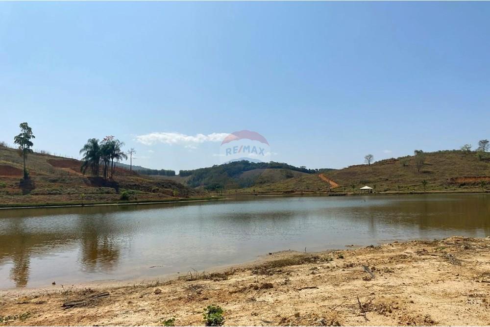 Chácara / Sítio / Fazenda - Venda - Patrocínio do Muriaé , Minas Gerais - 1000323679.jpg - 860371002-115