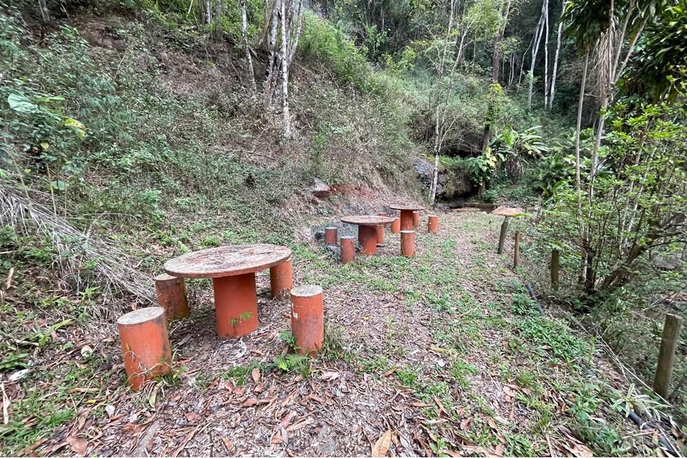 Chácara / Sítio / Fazenda - Venda - Lima Duarte , Minas Gerais - WhatsApp Image 2025-10-14 at 09.44.37 (36).jpeg - 860271019-8