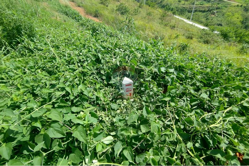 Terreno - Venda - Matias Barbosa , Minas Gerais - IMG_20250118_092352419_HDR.jpg - 860301010-76