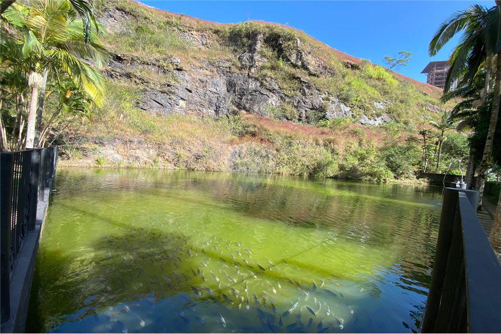 Apartamento - Alugar - Juiz de Fora , Minas Gerais - 33 - 860301009-506