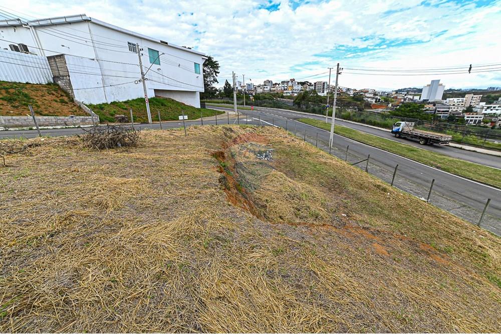 Terreno - Venda - Juiz de Fora , Minas Gerais - michaelseed photo_202401-50.jpg - 860211132-1