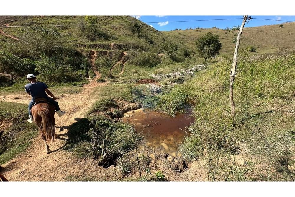 Chácara / Sítio / Fazenda - Venda - Cantagalo , Rio de Janeiro - 79c30399-6c6d-49f5-897b-32dd9357fe52.JPG - 860291041-3