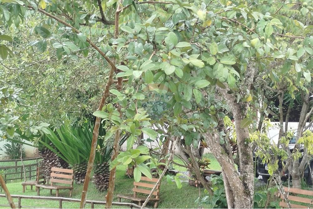 Hotel/ Pousada - Venda - Tiradentes , Minas Gerais - IMG_20250131_114308.jpg - 860391012-33