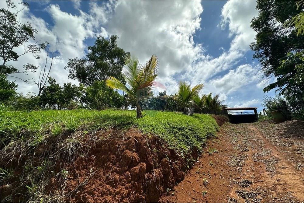 Chácara / Sítio / Fazenda - Venda - Muriaé , Minas Gerais - WhatsApp Image 2026-01-27 at 13.54.09.jpeg - 860371007-116