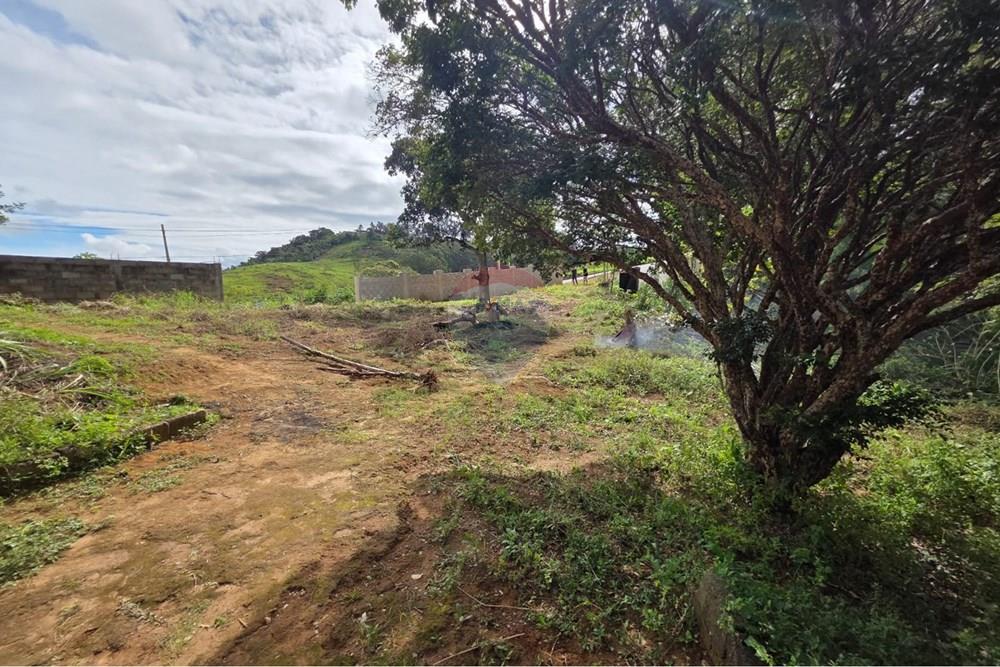 Terreno - Venda - Juiz de Fora , Minas Gerais - WhatsApp Image 2026-03-18 at 10.58.55 (3).jpeg - 860281161-4
