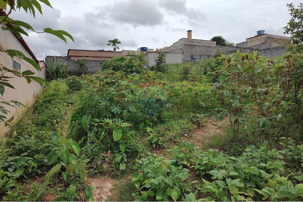 Terreno - Venda - Barbacena , Minas Gerais - WhatsApp Image 2024-12-20 at 10.57.45.jpeg - 860391002-52