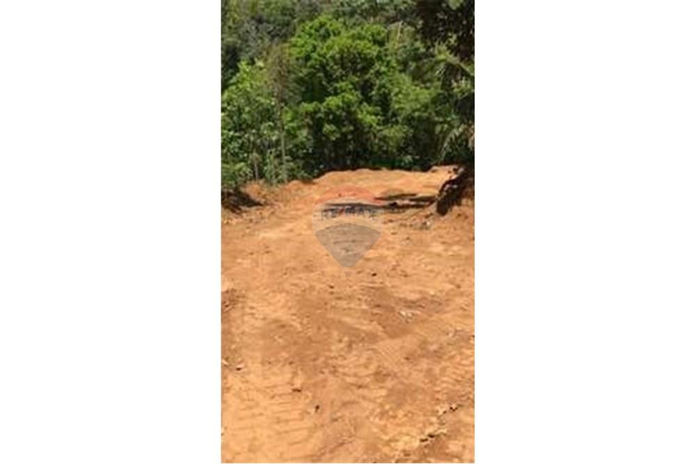 Chácara / Sítio / Fazenda - Venda - Matias Barbosa , Minas Gerais - img26052025_529.jpg - 860291033-113