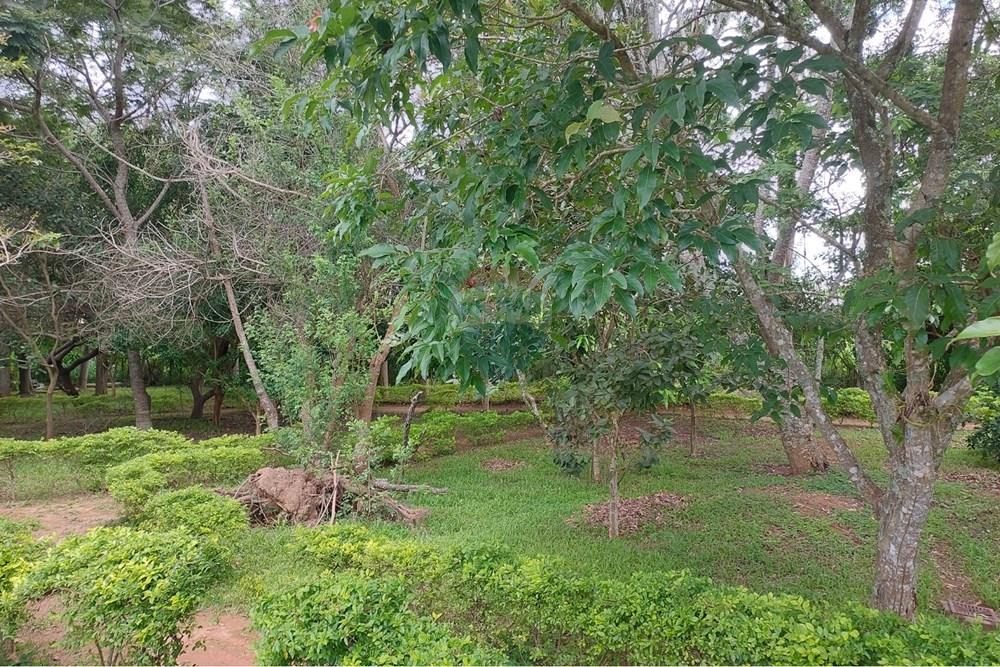 Apartamento - Alugar - Juiz de Fora , Minas Gerais - 1000827608.jpg - 860301050-41