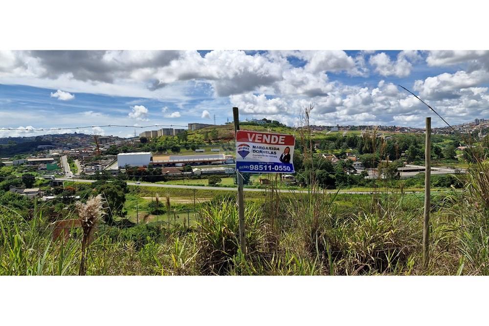 Terreno - Venda - Barbacena , Minas Gerais - 20250204_101512.jpg - 860391020-36