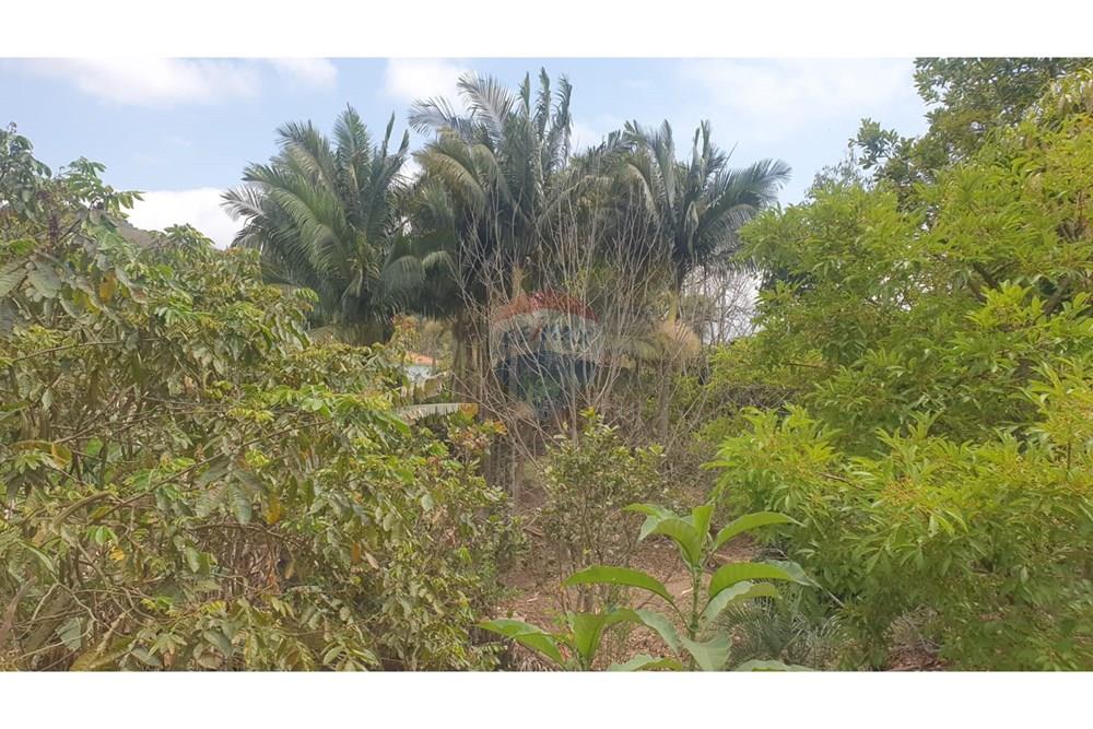 Chácara / Sítio / Fazenda - Venda - Barbacena , Minas Gerais - WhatsApp Image 2025-11-17 at 14.43.29 (3).jpeg - 860391028-24